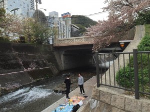 IMG_0991