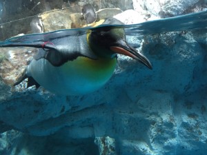 IMG_6735
