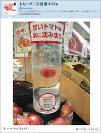 甘いトマトは水に沈む・・・はずなんだけど