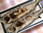 ぽかぽか陽気に誘われて・・・♪