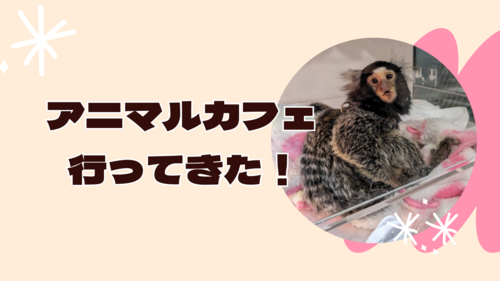 動物とたわむれる