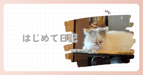 初めての〜