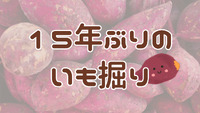 2023年10月31日