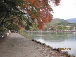 2009年11月28日