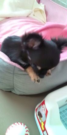20100804132558.jpg