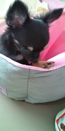 20100804132624.jpg
