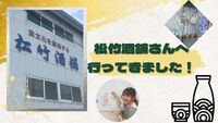 2024年07月29日