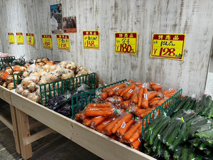 中央卸売市場直送 お野菜「与一」さんに行ってきました！