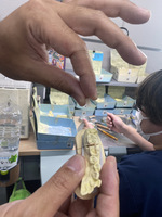 綺麗で明るい素敵な会社！いれ歯やさんに行ってきました