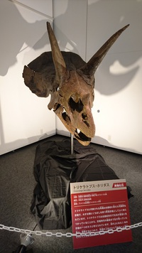 金沢・福井の旅（福井県立　恐竜博物館）