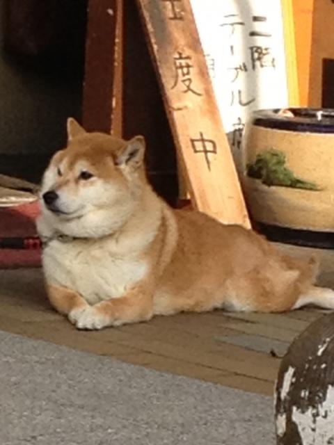 2013年03月09日