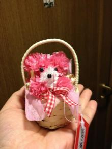 IMG_1776.jpg