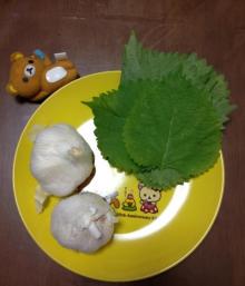 IMG_0077.jpg