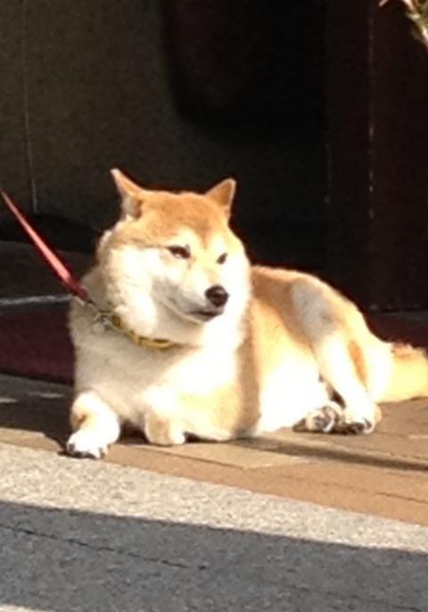 2013年08月02日