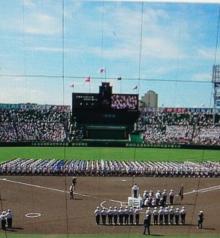IMG_1972.jpg