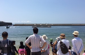 ラブ神戸イルカ観客