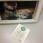 ラブ神戸あどべんと豆