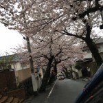 ラブ神戸桜トンネルその後