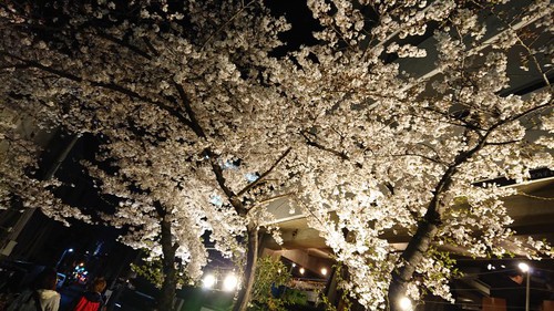 4月8日のMKM