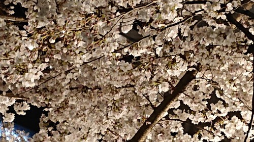 4月8日のMKM