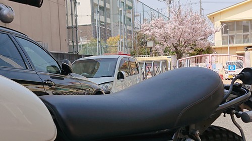 ４月１３日のＭＫＭ