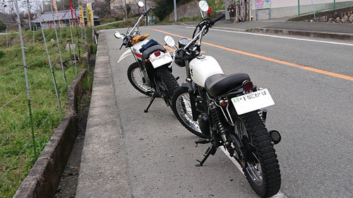 ４月１３日のＭＫＭ