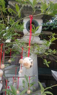 壬生  梛神社   隼神社