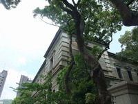 初トレ