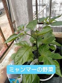 2021年10月06日