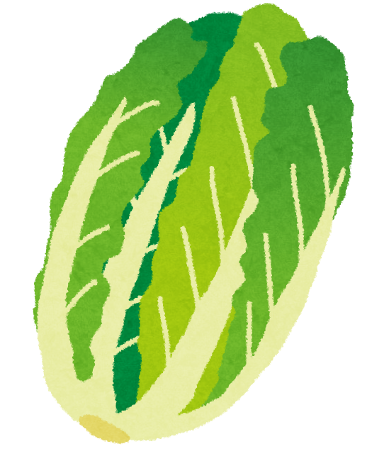 ミャンマーの野菜