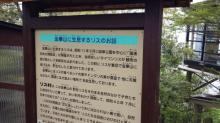 20140422_102442.jpg