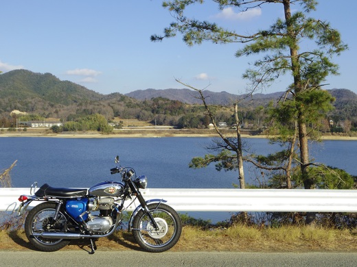 1970 BSA A65L Lightning 愛知県Y様