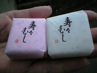 081223_1336~0001.jpg