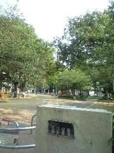 090822_1606~0002.jpg
