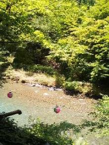 100722_1150~01.jpg