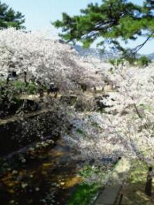 2011041214050000.jpg