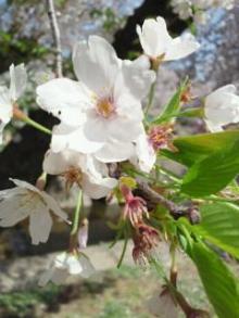2011041214090000.jpg