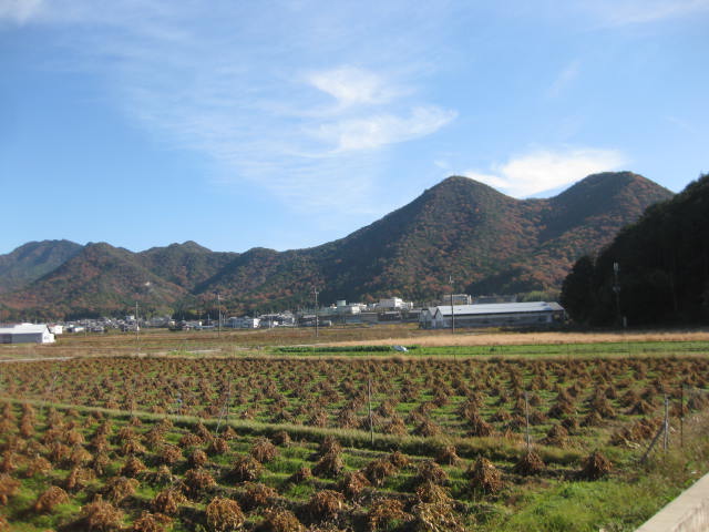 IMG_0639.JPG