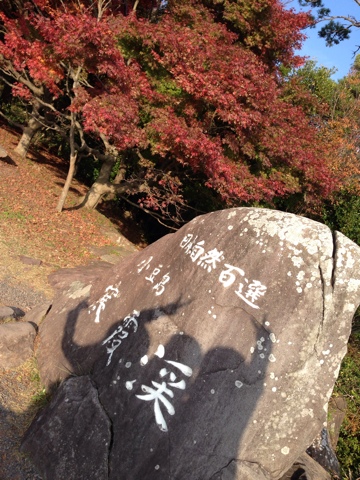 2013-11-09 15.12.23-1.jpg