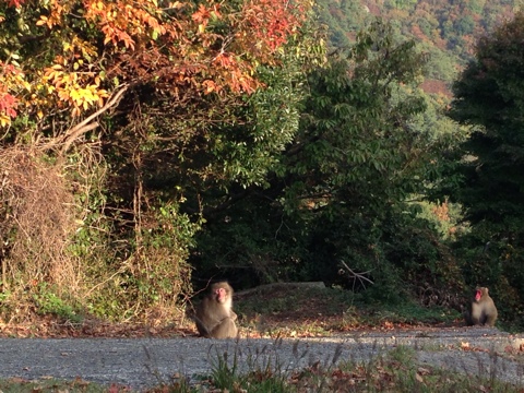 2013-11-09 15.17.49-1.jpg