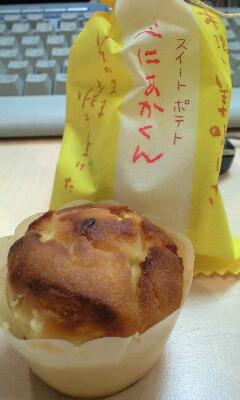 2008年11月11日