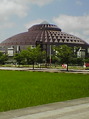 8438_s.jpg