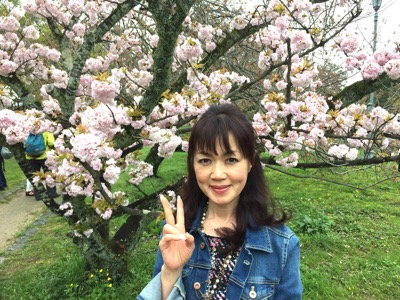 京都御所の桜と春の一般公開