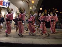 徳島の阿波踊りが熱い！