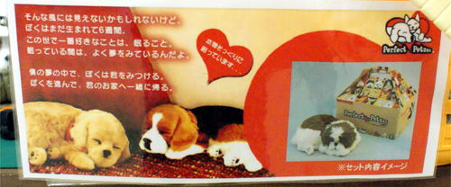 まるで生きているようなぬいぐるみ「パーフェクトペット」