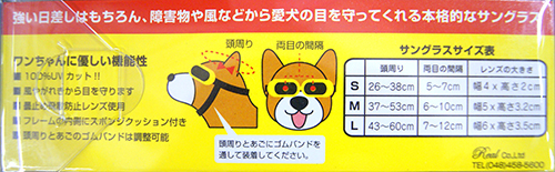 ワンちゃん用サングラスでビーチでも紫外線ガード