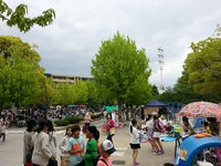 西武庫公園に200店舗！「ハーベストフリーマーケット」はやっぱりスゴかった！ 2015/04/30 08:45:00