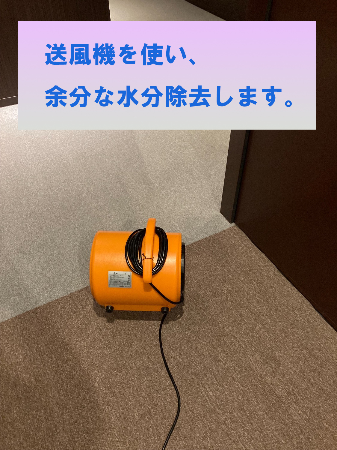 【強エクストラクター機材(SAMURAI)でカーペットクリーニングしました！】