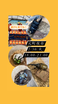 2024年07月23日