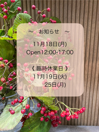 2024年11月18日
